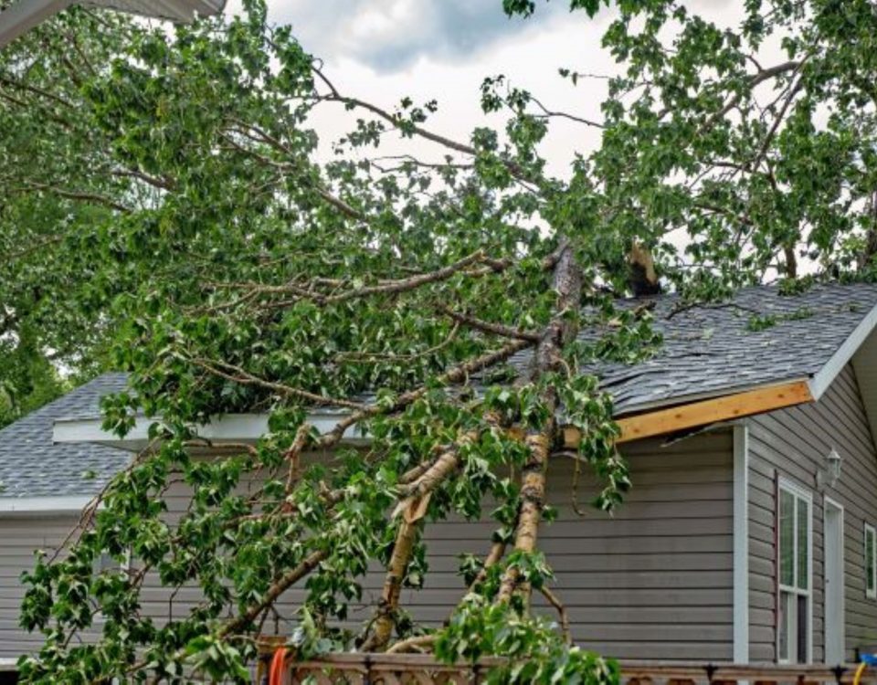 tree on house after hurricane